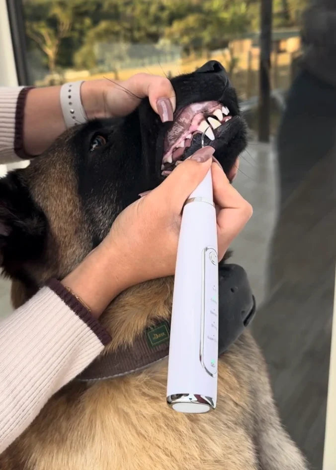 DeepSweep dental cleaning in use