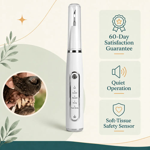 DeepSweep Kit – Silent Ultrasonic Plaque & Tartar Remover For Dogs