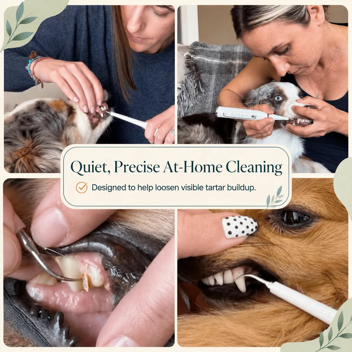 DeepSweep Kit – Silent Ultrasonic Plaque & Tartar Remover For Dogs