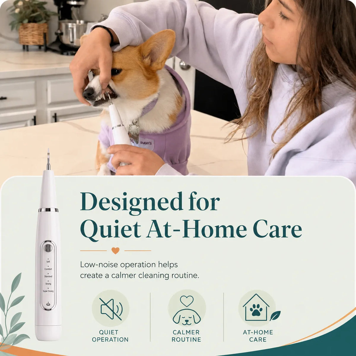DeepSweep Kit – Silent Ultrasonic Plaque & Tartar Remover For Dogs