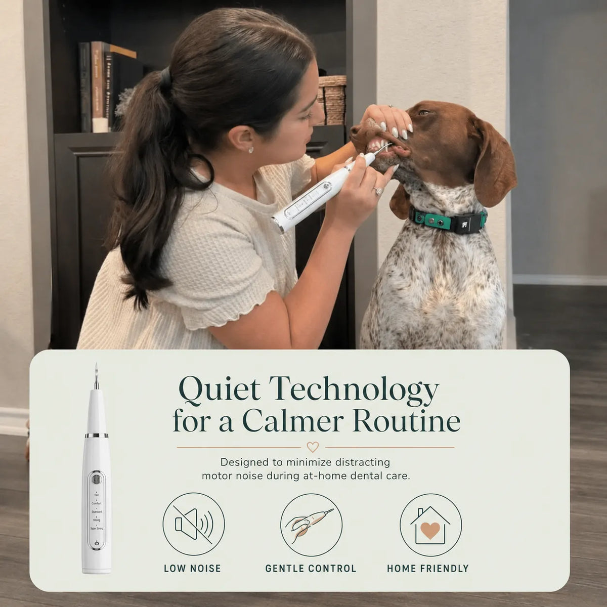DeepSweep Kit – Silent Ultrasonic Plaque & Tartar Remover For Dogs