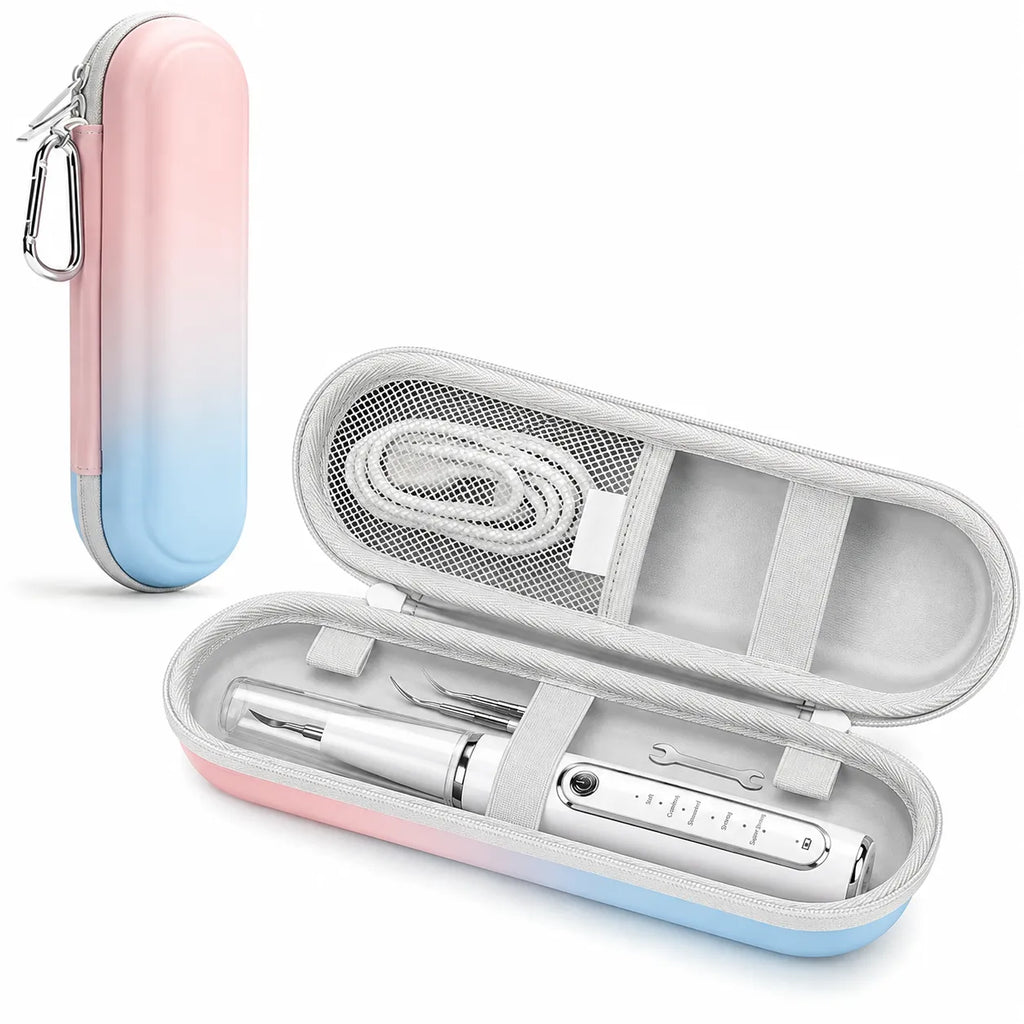 DeepSweep Protective Storage Case