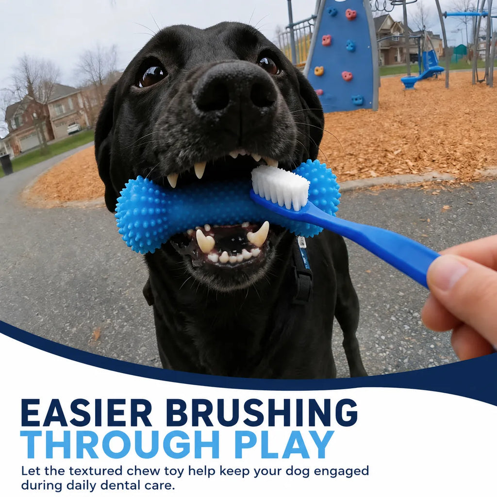 Dog Dental Chew Toy & Brushing Aid
