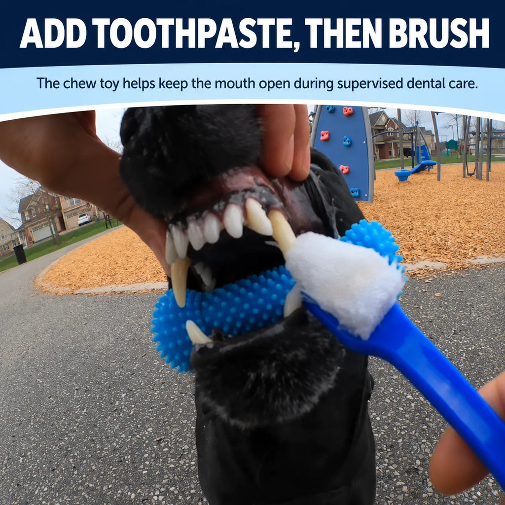 Dog Dental Chew Toy & Brushing Aid