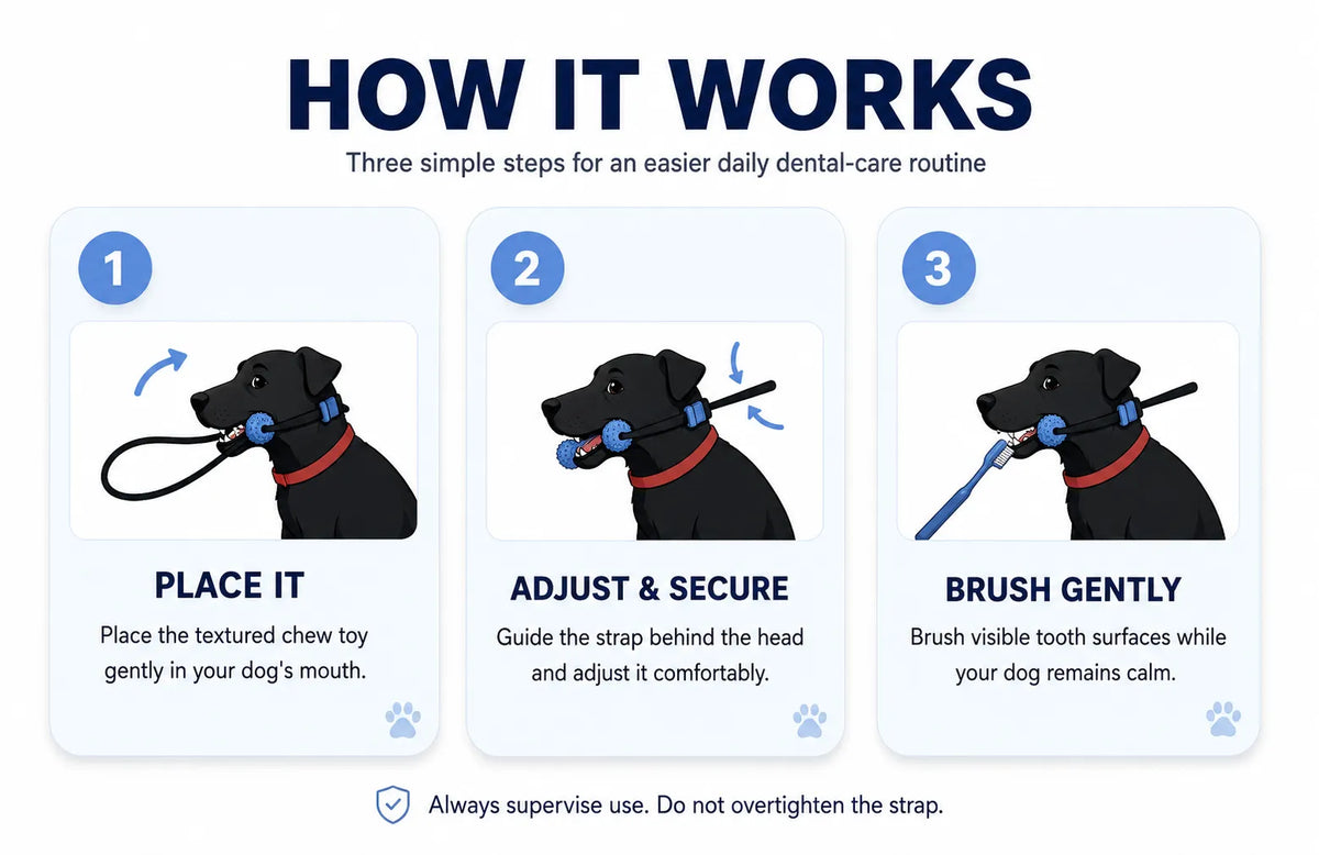 Dog Dental Chew Toy & Brushing Aid