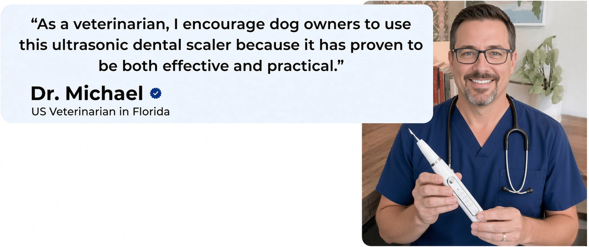Veterinarian presenting the dental cleaning device