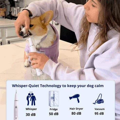 DeepSweep Kit – Silent Ultrasonic Plaque & Tartar Remover For Dogs