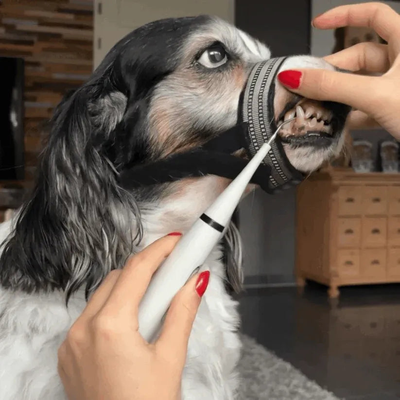 Dog Dental Cleaning Strap (Bite Blocker)
